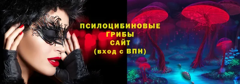 Псилоцибиновые грибы мухоморы  Рыльск 